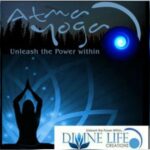 Divine Life Creations
